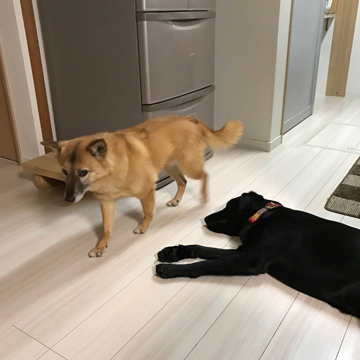 C234d9f1 fb39 4436 a153 860cabba2477