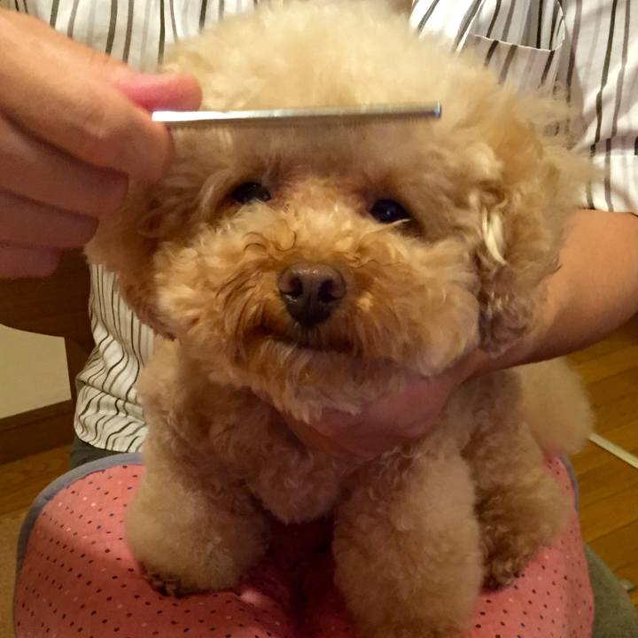 C2354a1f f204 42d4 846b 643760e24004