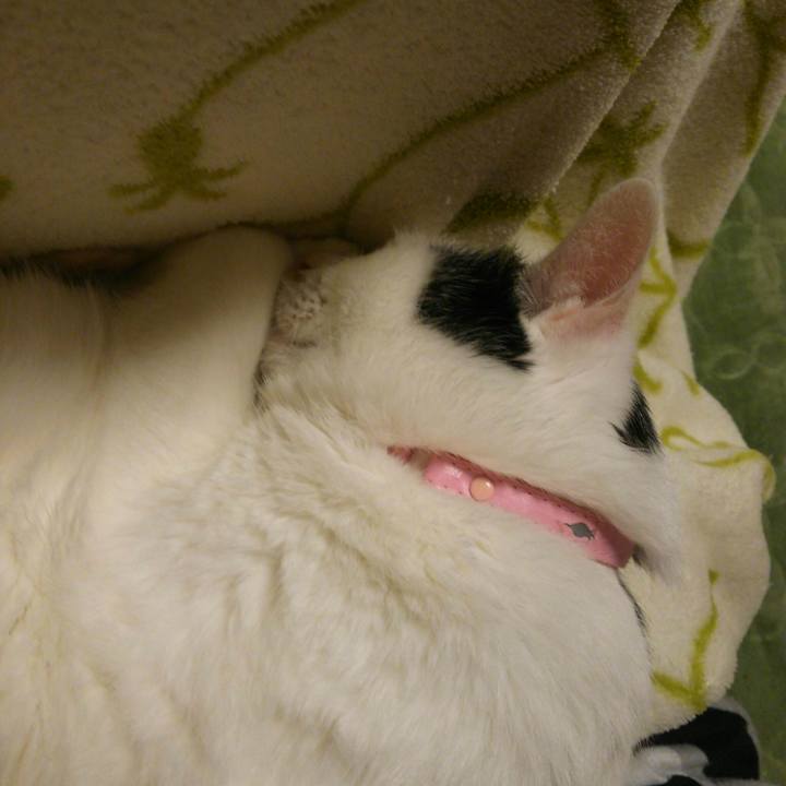 C235b87b 4bfd 4eb8 935a 07ed2c286b67