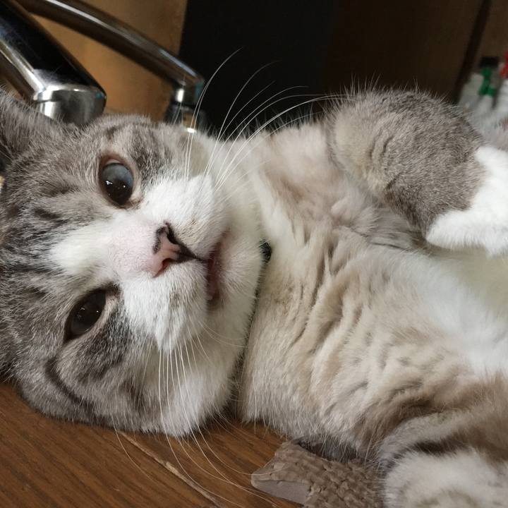 C235c4b9 52b4 4cb0 aa5e f91654c0d2d4