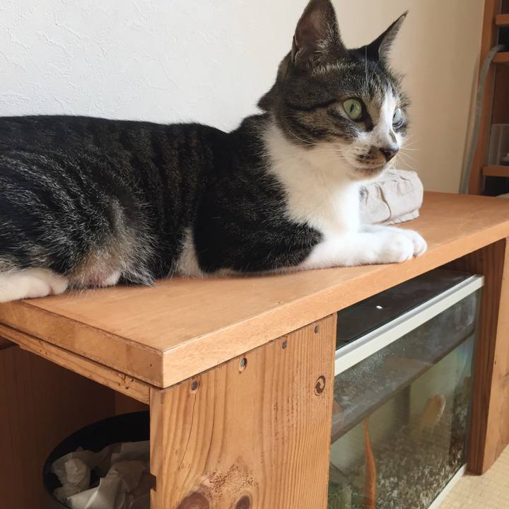 C235dffd c449 4885 8af8 f036e7028d3d