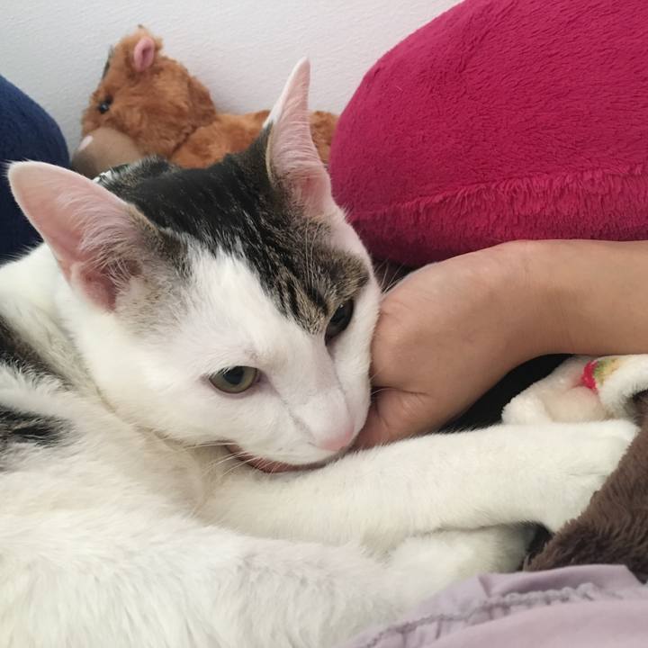 C2365614 2a44 41d0 a1e9 60230f8b3809