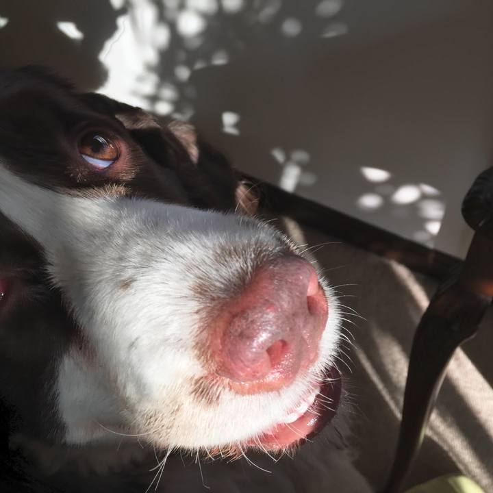 C236b32d fd4e 4069 bde6 e2c913ad896d