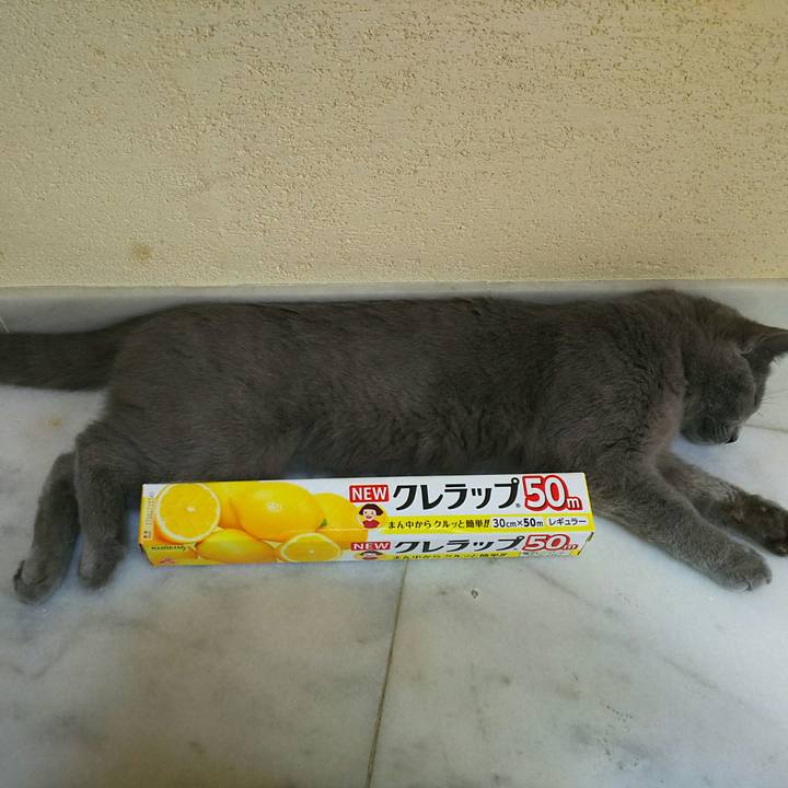 C23780b3 6d3e 4b66 ad52 db1685b1d564