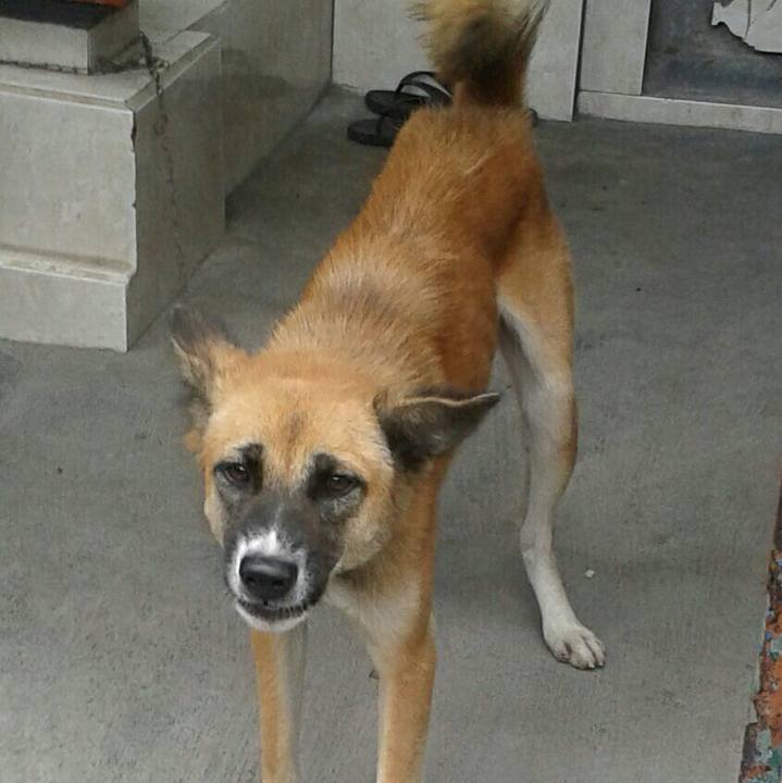 C23822ff 71f4 449b 88de 7f0f37f1d20c