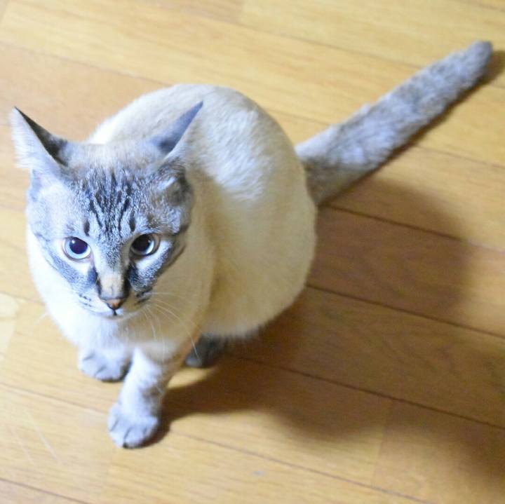 C238ecea 23d6 4843 b617 6a4630a8f54a