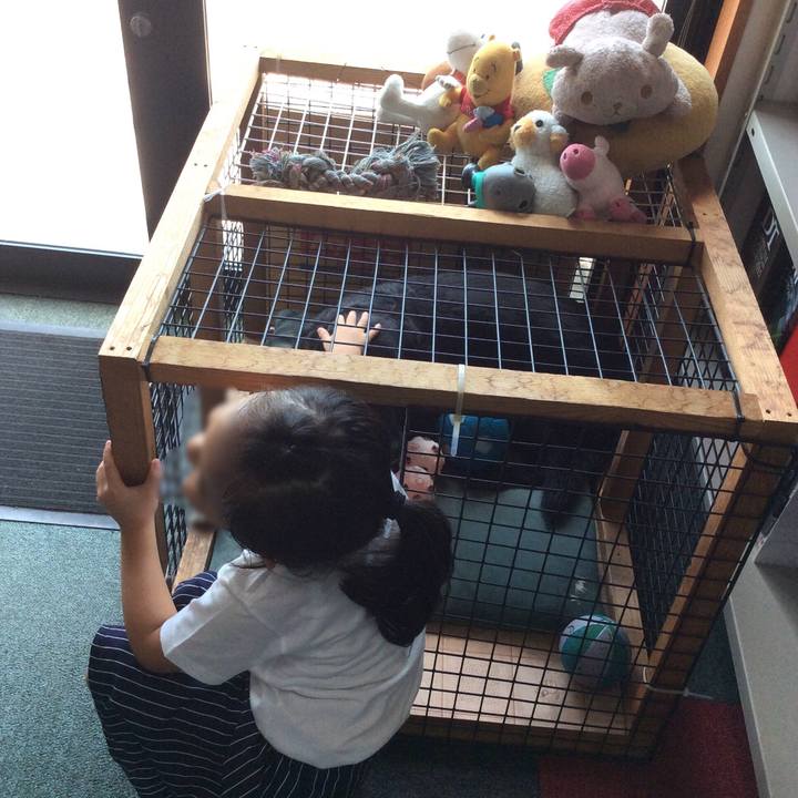 C23913f3 d804 45fb 8cb0 46980712ad18