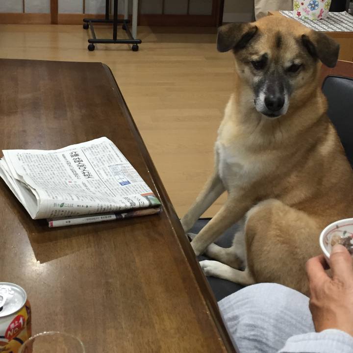 C239649e 7607 4408 bf78 e8e7eeb90032