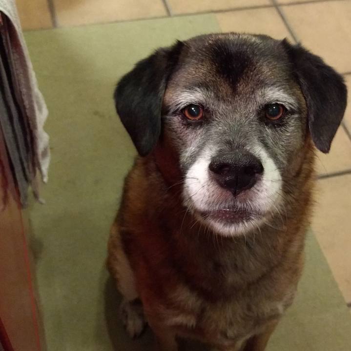 C239de13 3b87 4c35 9fd2 ce5f2a7ac425