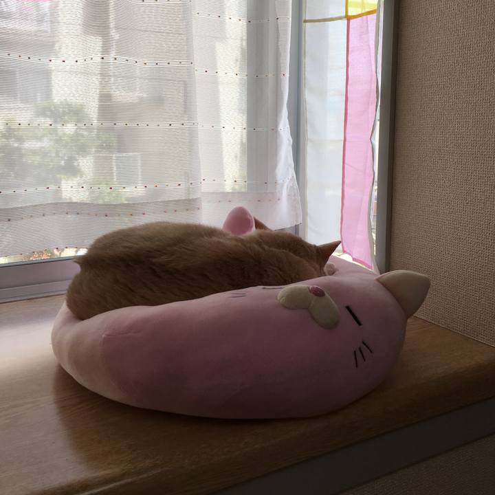 C23b194b b932 4eae 9afd 5afc300bf8ff