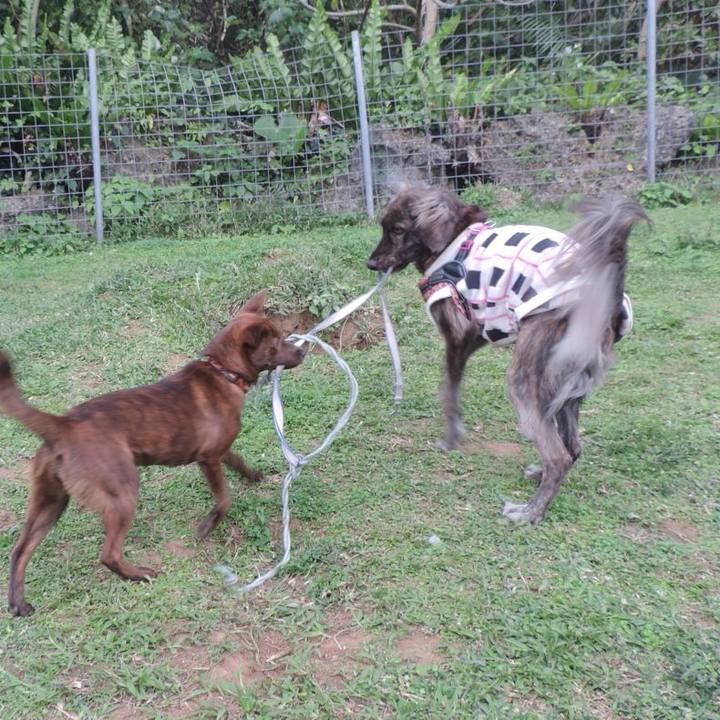 C23b2755 2d3f 4813 92cd 8bd4e68fe239