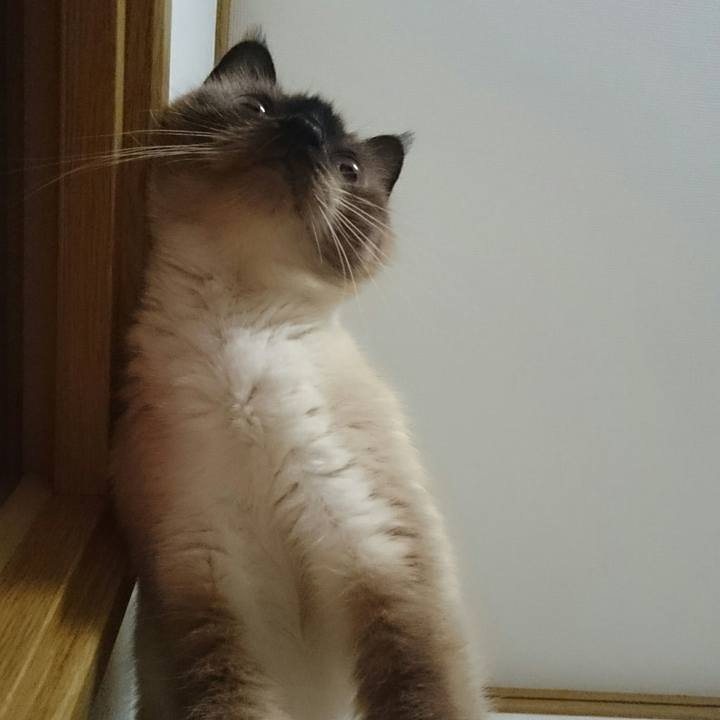 C23b4a7a 8551 47c4 b7dd 4add6c4e3c34