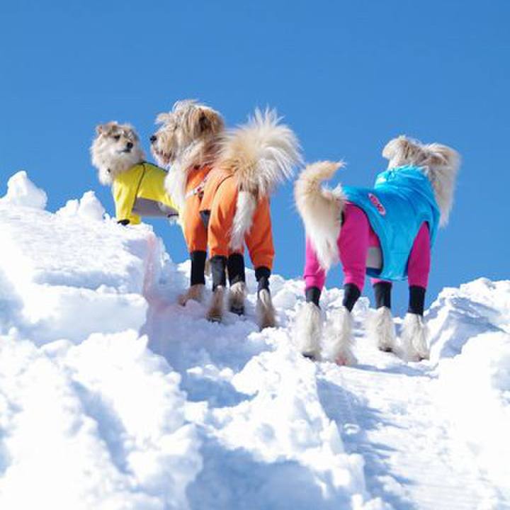 C23b59e1 eea4 47aa 9aad b19041eaa9b5