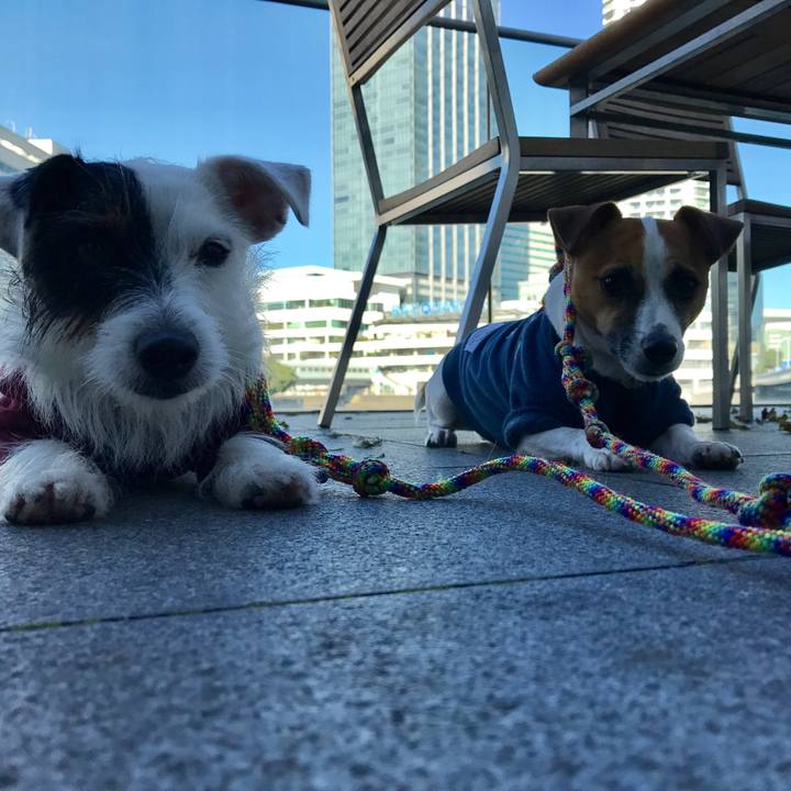 C23be4f0 2223 42ba a979 8ccd23c4a0cb