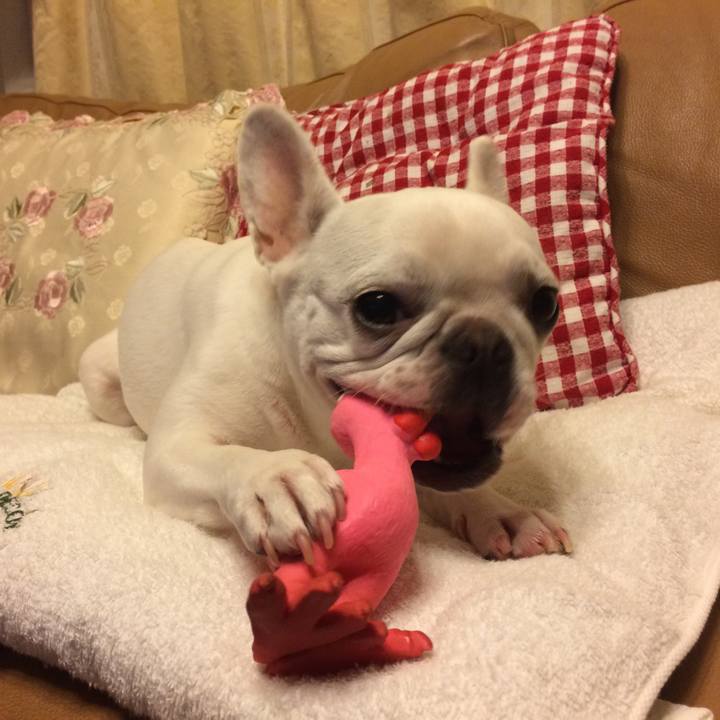 C23c790e 8361 4732 89ea c7d8fb8f5998