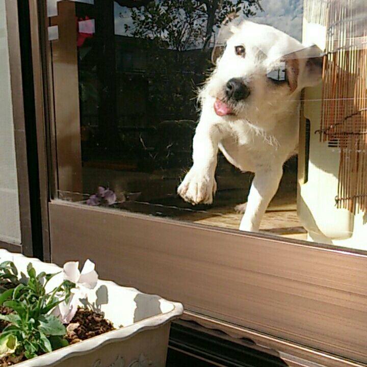 C23ce511 f041 46eb 8abc d88a88b8e8e3