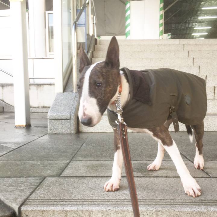 C23d573c a8bf 4de0 8973 513deaf02b9b