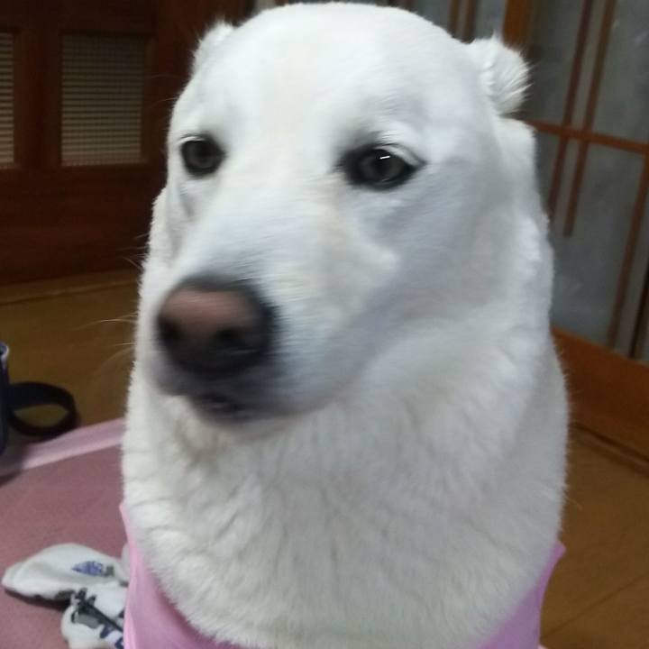 C23d7dd7 02ad 4aa5 bd78 a4a6ac6329e3