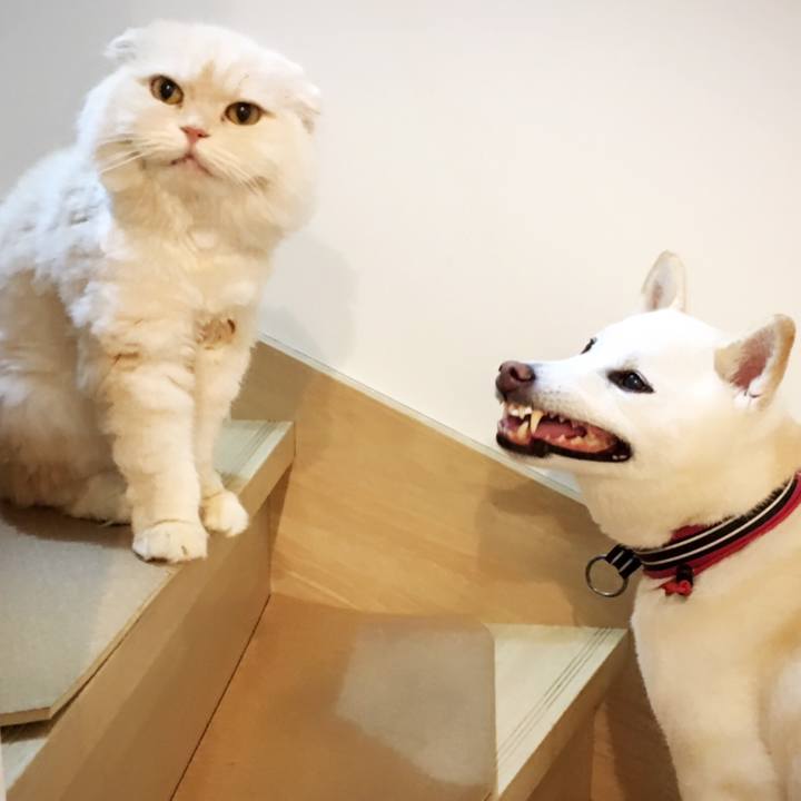 C23eedff 20a4 4ab0 9a1b c03ec6d72f24