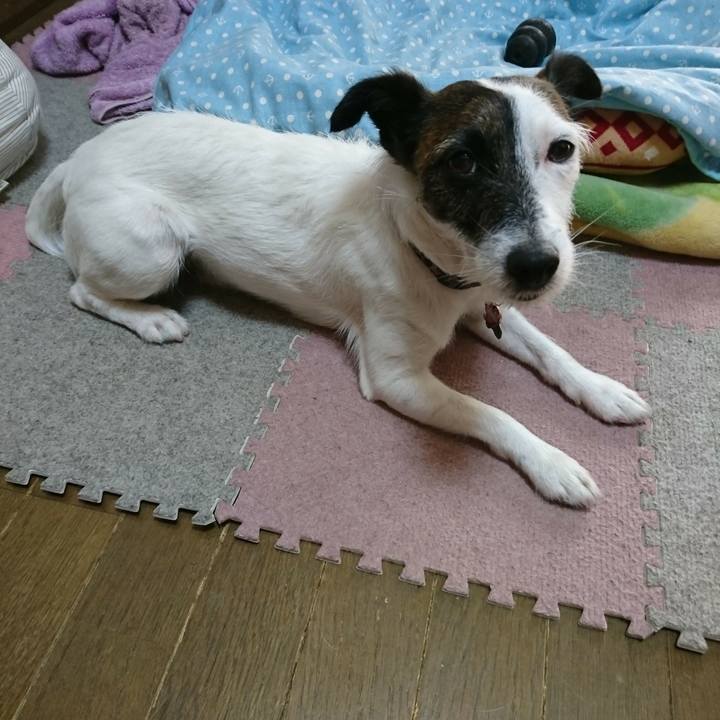 C23ef525 9529 40dc 9e8b c2e25018a884