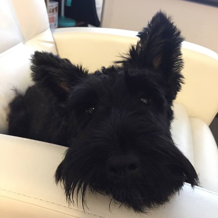 C23f4c72 0277 4786 9030 867c02860d80