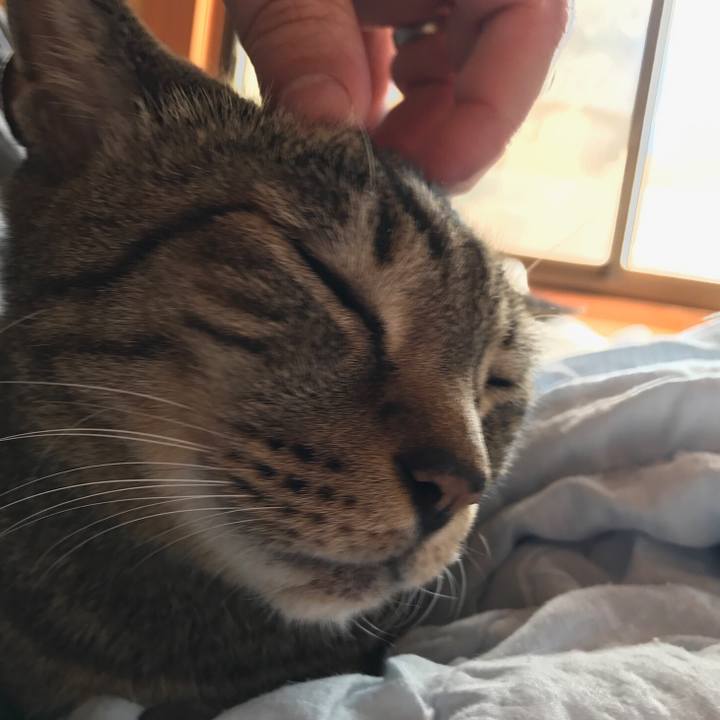 C240180b 65f3 4799 8372 2ebe720330e3