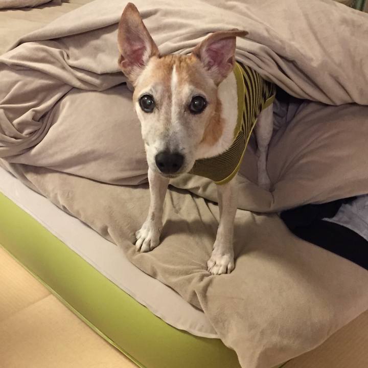 C240adfa b27d 4d9b b69b ac06f069dbf4