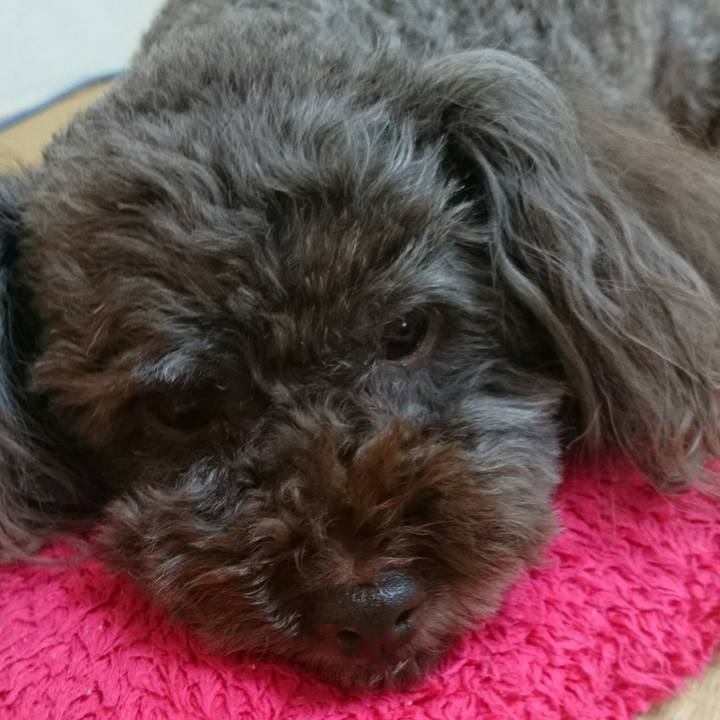 C240f546 1b87 4cd8 b070 92f992e09c44