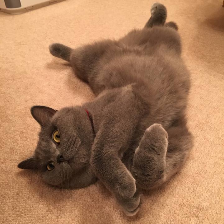 C24124a7 3c6d 4dc7 974c cd60df068828