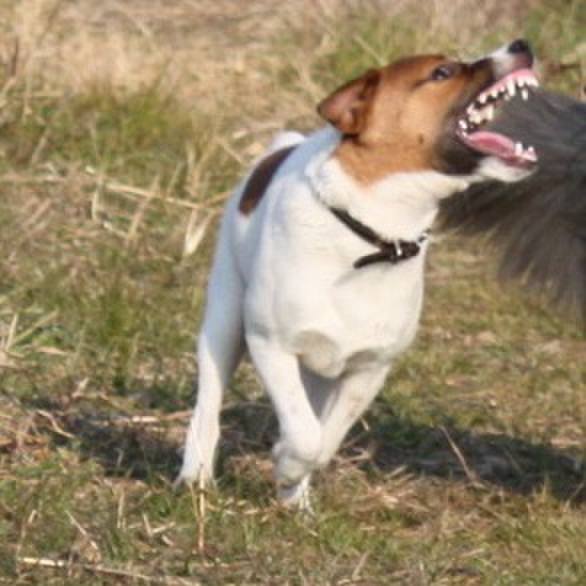 C2412c03 0b53 44cb 99a7 7d66cba35a09