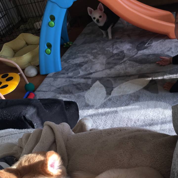 C2415b68 754f 47eb 966e be95436b3541