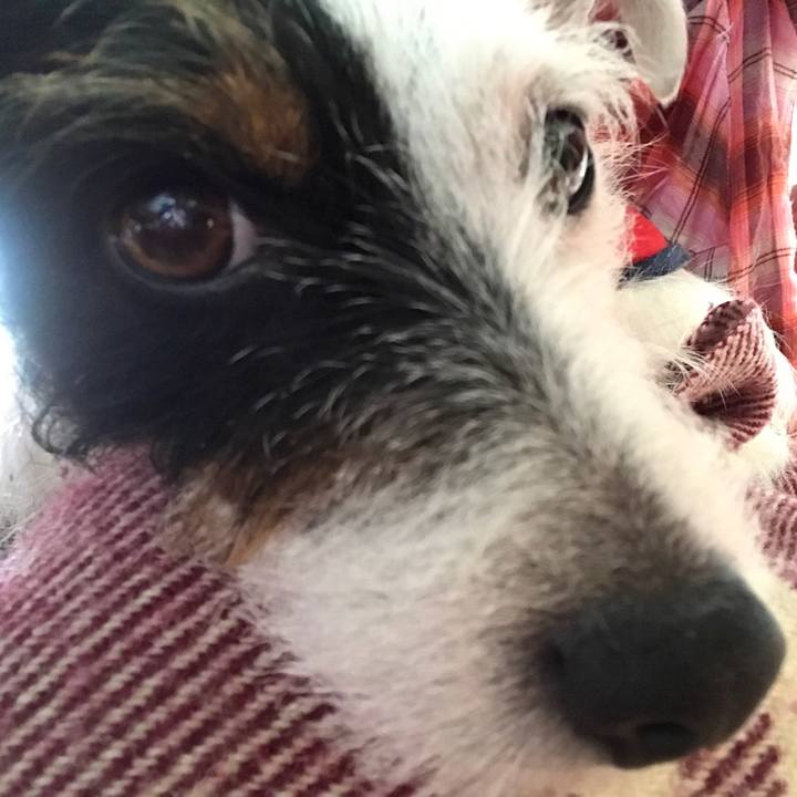 C2423d60 4cd3 434a 8a40 760902846a3f