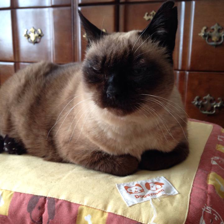 C24274c8 3644 4813 b79f 20bc22df6e91