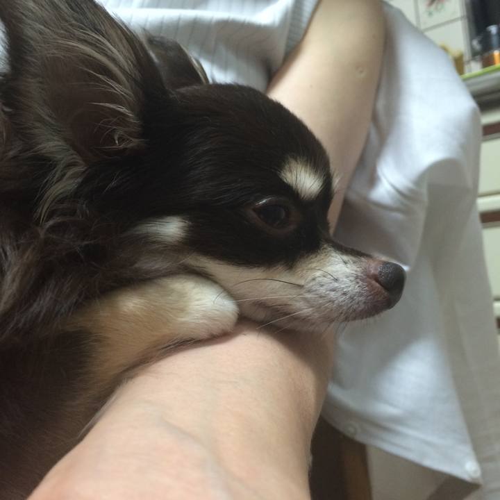 C2428a37 0a35 4027 b7dd 175eee2f53ac