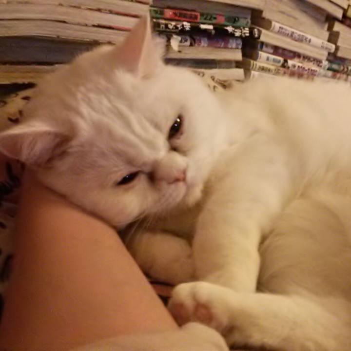 C2436e99 d9e0 4e2d a93a 5b8f4a48f072