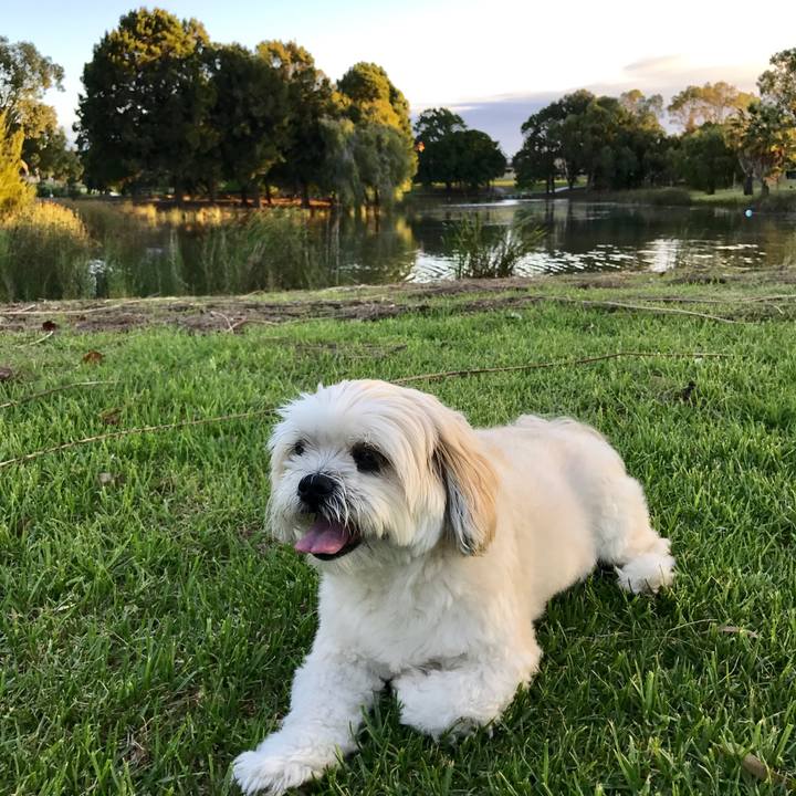 C244a69b 9c5f 48e9 8c83 457fbafda2c1