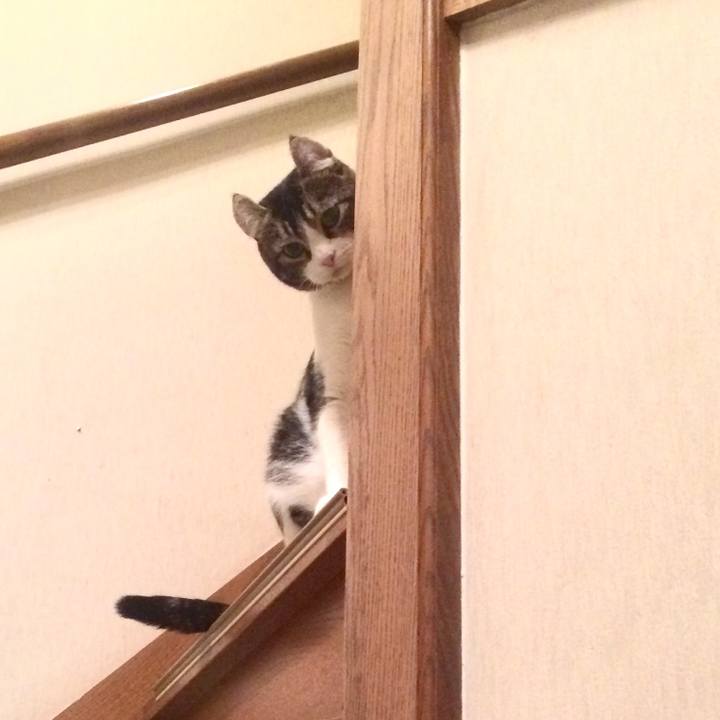 C244b5e6 db0a 49d8 9cfa e168e4686b36