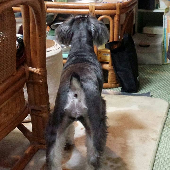 C244ee99 0a2d 40cc 96d0 3d57c8fab25e