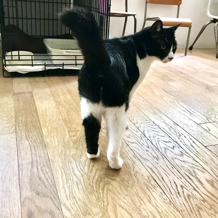 C2452953 de76 4552 b7aa 197d27116e1a