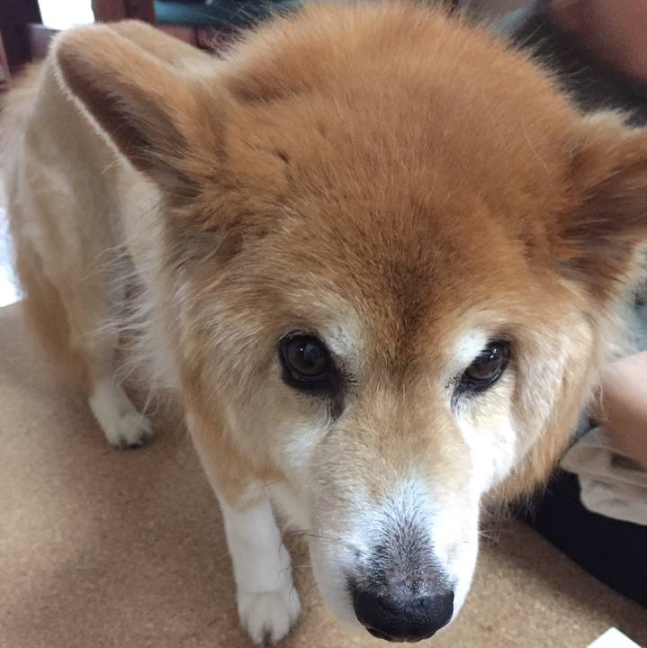 C2453d61 c66a 4be8 82b6 66876d0dbdd9