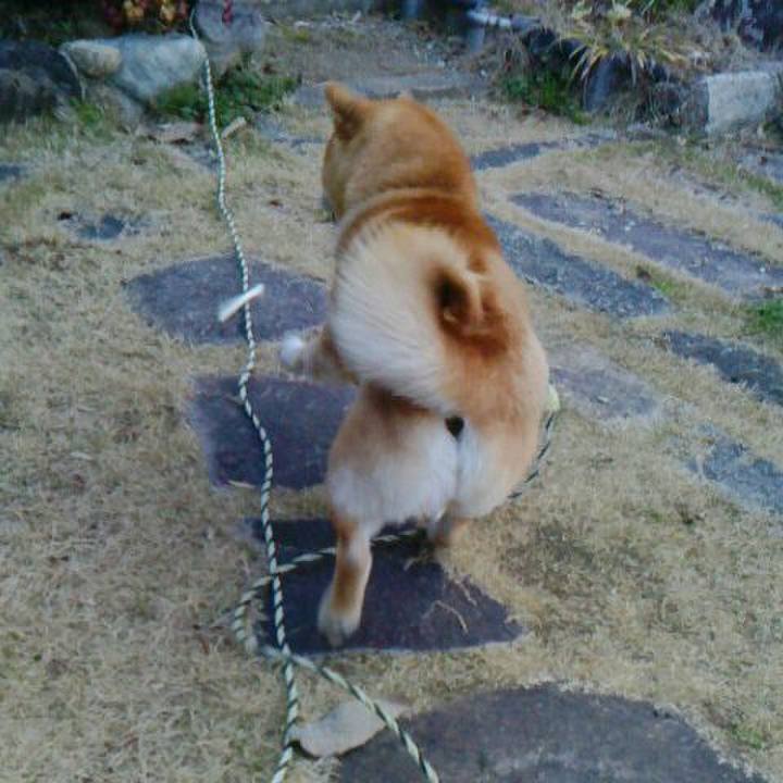 C2454ac4 ae62 4302 838d b526a431a1b2