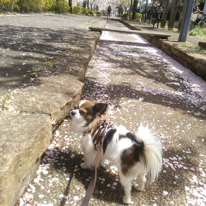 C2457fe6 6977 4e9c bb83 99e742446363