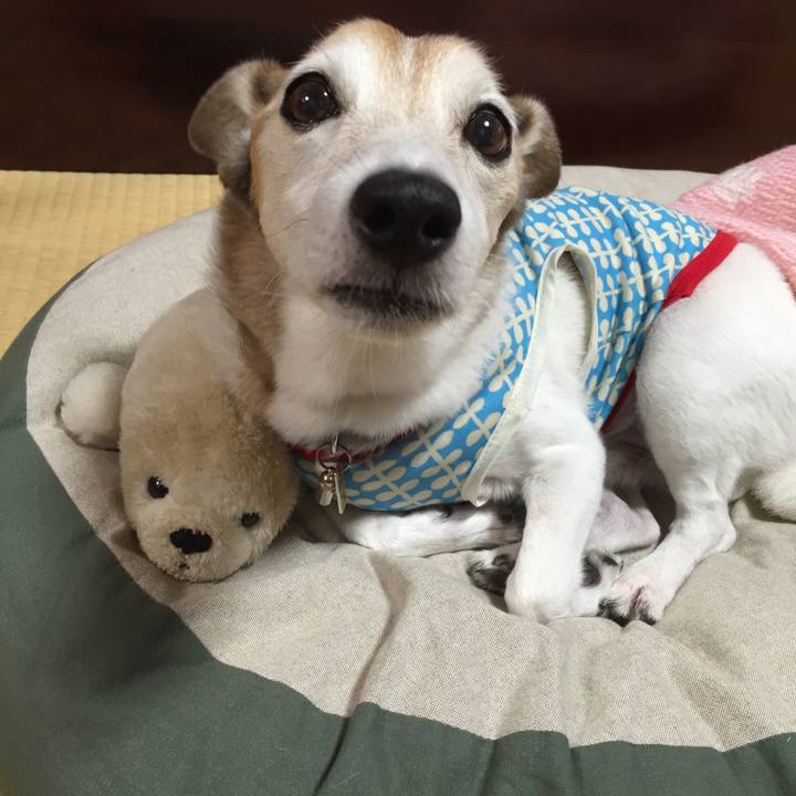 C245aed2 79e7 45f5 8e7e 297ba47a5b2e