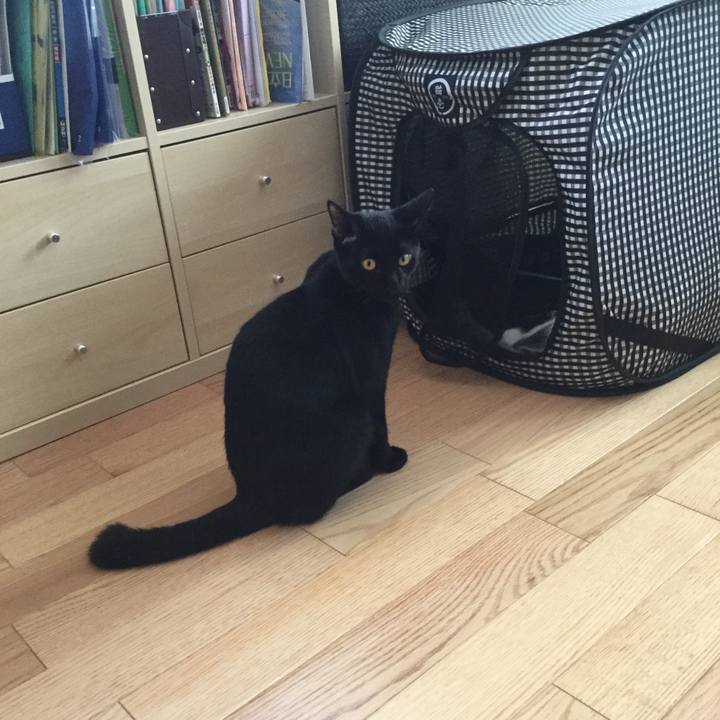 C245cfc7 7fca 46b6 bf5f 33d8ddbfda2e