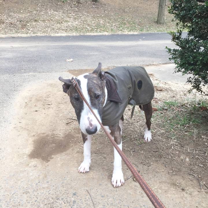 C245d3d5 e3bd 44c7 b8a9 8dadb5669c97