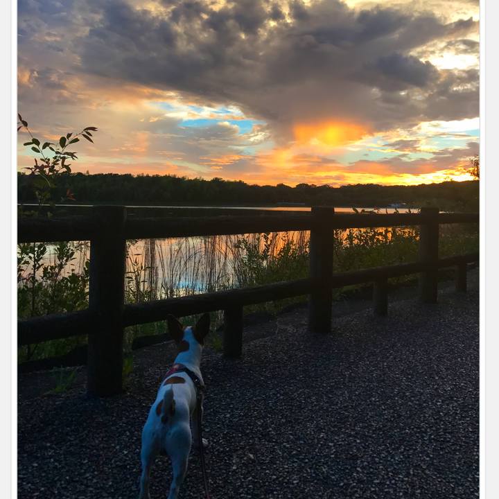 C246d959 18bb 4fe6 8aa9 88e1a5737e03