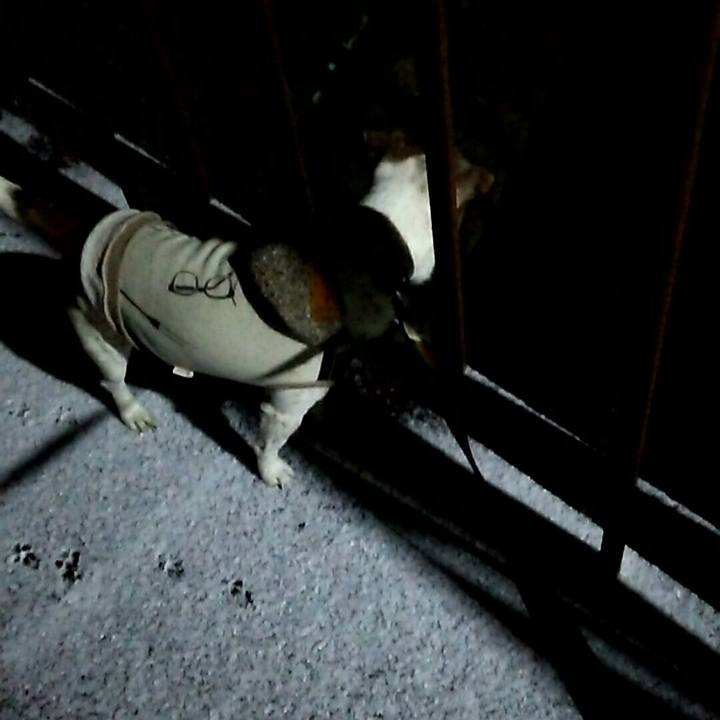 C2473d3b e486 4717 93e1 2cd661444b97