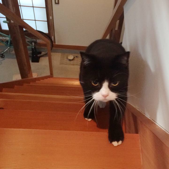 C2475afa fcf4 4bec a37c 123d48895775