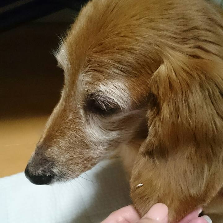 C2486e35 08b8 494b 9275 dc6b624627bc