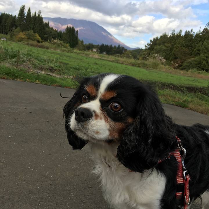 C2487af7 592f 4ba6 89e9 977c84db875c